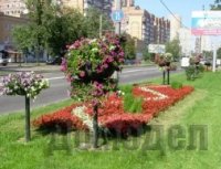 ���������� ��������� ����������