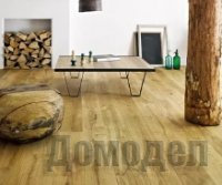 ��� ����� ���������� �������