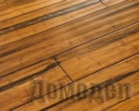 ��� ����� ���������� �������