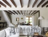 ������������ ����� � ���������