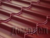 ���� ����������� ���������