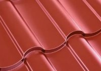 ���� ����������� ���������