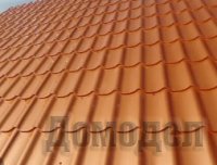 ���� ����������� ���������