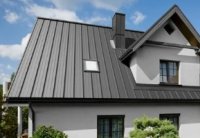 ���� ����������� ���������