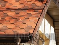 ���� ����������� ���������