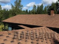 ���� ����������� ���������