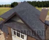 ���� ����������� ���������