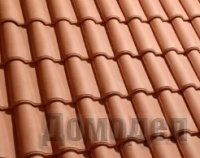 ���� ����������� ���������