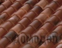 ���� ����������� ���������