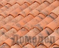 ���� ����������� ���������