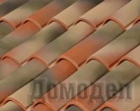 ���� ����������� ���������